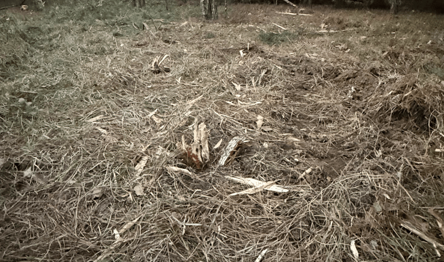Property Cleanup